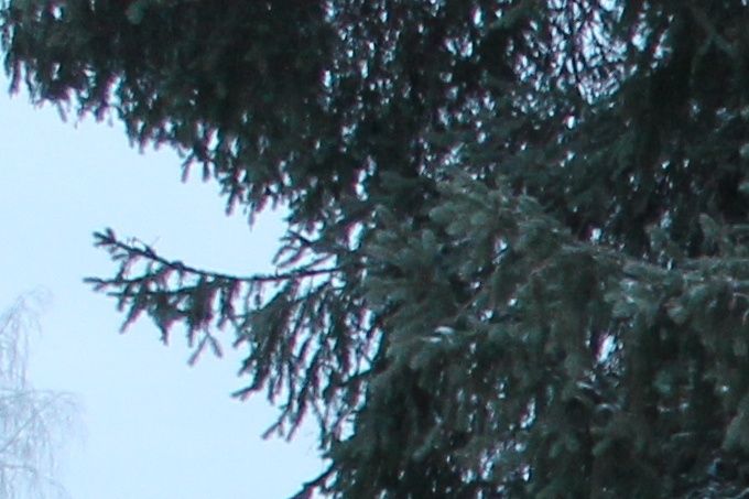 SOTAVETERAANEJA  JA ITSENÄISTÄ ISÄNMAATA KUNNIOITTAEN 
 Jouluaattona 2014, kuva Hanna Tischer 
Klikkaa kuvaa isommaksi