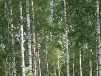RUOTSIN KUNINGAS KUSTAA III, kuvassa oikealla,  saapuu Sulkavalle 22.7.18